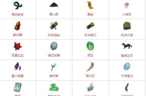 《游戏中的暖雪毒囊流派应用全指南》（探索最佳战术）