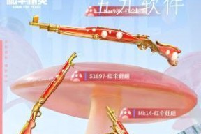 《和平精英红伞翩翩军需价格一览》（了解红伞翩翩系列军需道具价格）