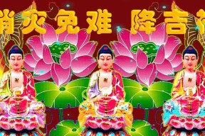 乱斗西游2佛舍利获得方法攻略？如何快速收集佛舍利？