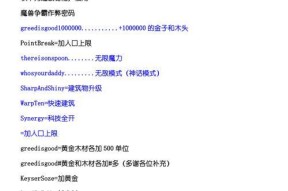 魔兽冰封王座密码秘籍的输入方法是什么？