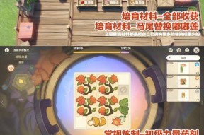 洛克人钢铁之心第五章怎么过？主线攻略流程详细解析？