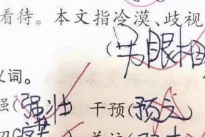 冒险岛2刺客技能加点全解析？如何高效提升刺客能力？