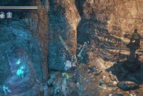 《仁王》中如何快速获得请求点数？详细攻略解析！