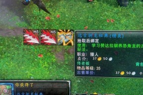 魔兽世界宝宝经验如何快速获取？