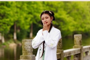 洛川群侠传洛阳采花贼任务怎么找？攻略步骤是什么？