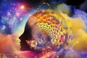 游戏中唤醒生命的种子——《生命精灵》（用游戏感受自然的奥妙）