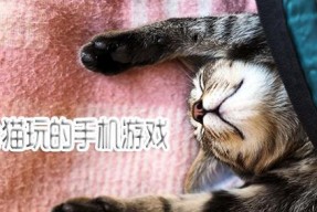 如何消除更多的猫咪——《坏坏猫咪》游戏攻略（掌握技巧轻松过关）