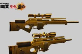 CS反恐精英OL冰封圣骑武器属性一览？如何查看详细信息？