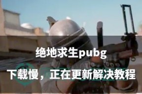 绝地求生翻车后的应对策略是什么？