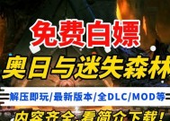奥日与迷失森林键盘失效怎么办？解决方法有哪些？