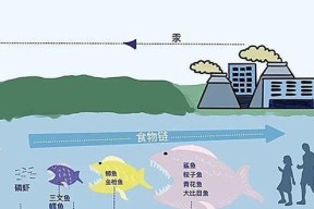 《破坏者3D》（探索未知的魔法世界）