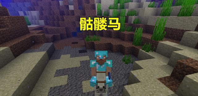 我的世界中骷髅马如何变成坐骑（以饲料为媒介）  第2张