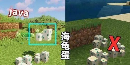 我的世界海龟食谱全解（探秘海龟的美食世界）  第2张
