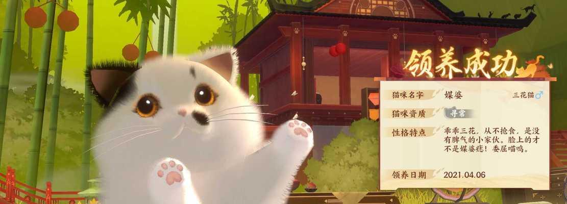 《以忘川风华录》中养猫猫的小技巧（如何让你的猫猫更加健康与活泼）  第1张