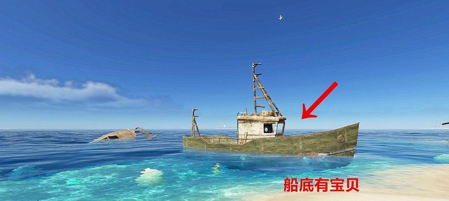 荒岛求生生存技巧攻略（如何在荒岛上生存）  第2张