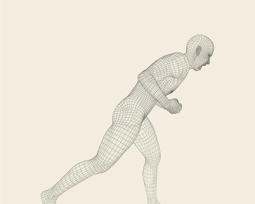 《探索恐龙空手道》（体验不一样的格斗世界）  第2张