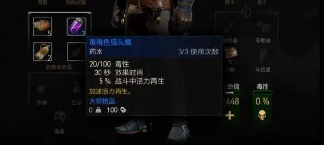 《盗贼遗产》一周目能获得全部装备和技能吗？  第3张