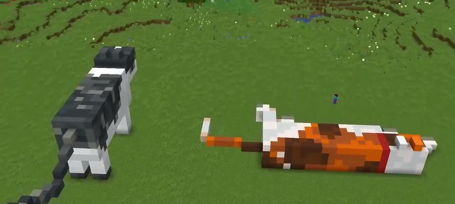 我的世界如何抓猫？有哪些技巧？  第2张
