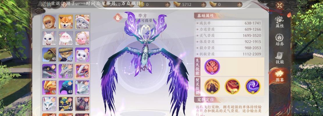 天龙手游中哪个宠物外观最吸引人？有什么特别之处？  第2张