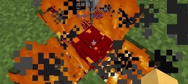 我的世界末影龙蛋孵化方法是什么？  第2张
