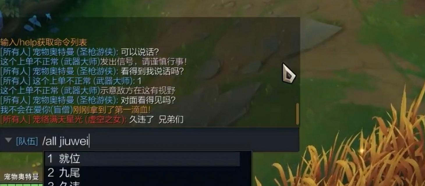 如何在英雄联盟中开启与队员的聊天功能？  第2张