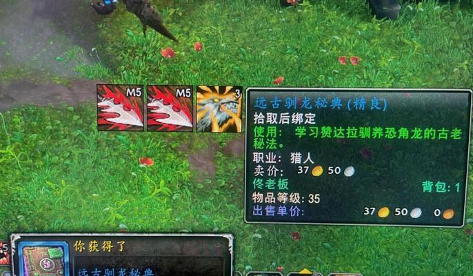 魔兽世界宝宝经验如何快速获取？  第1张