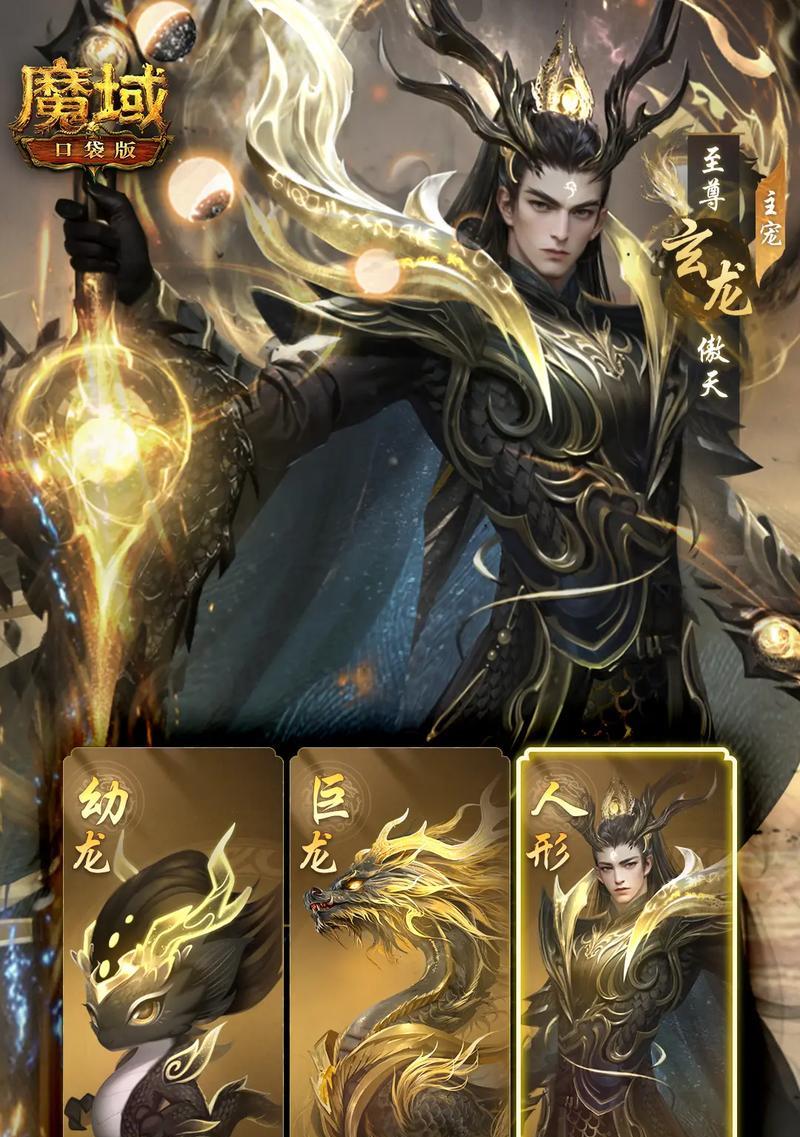 魔域手游龙年兽与宠物搭配技巧？  第2张